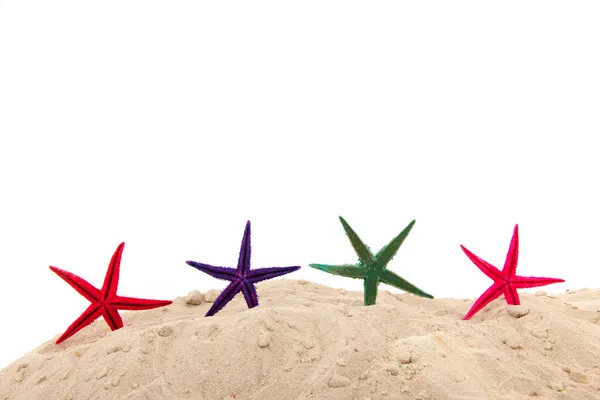 Starfishes at the beach — Stock Photo, Image