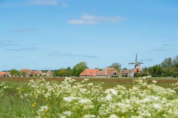 Holenderska wieś w terschelling — Zdjęcie stockowe