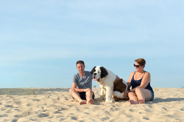 Eigenaars met hun hond — Stockfoto