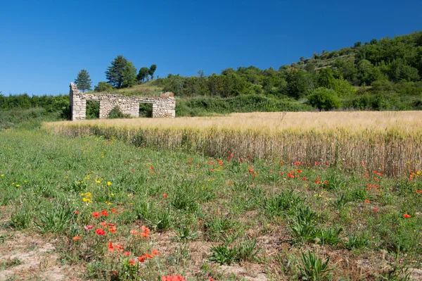 Ruin af et hus i Frankrig - Stock-foto