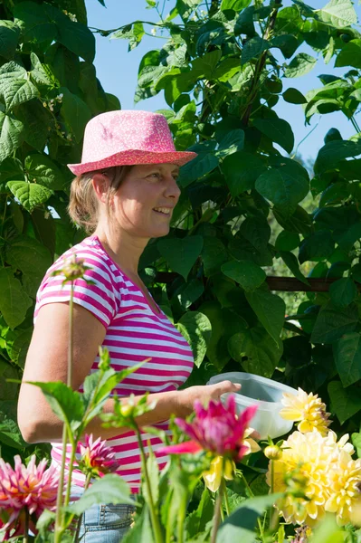 Vrouw in moestuin — Stockfoto