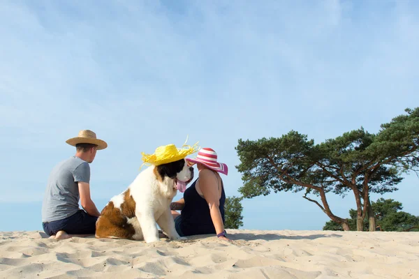 owners with their dog at the beach