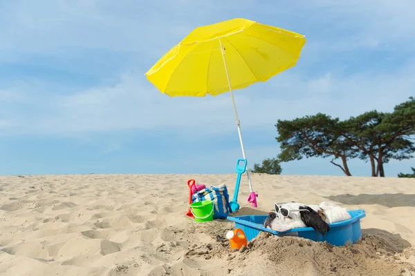 Raffreddamento per il cane in spiaggia — Foto Stock