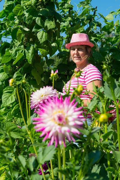 Žena v zeleninové zahradě — Stock fotografie