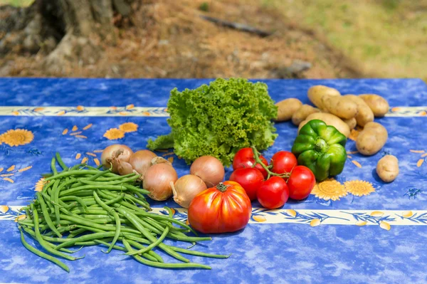 Zelenina ve francouzské zahradě — Stock fotografie