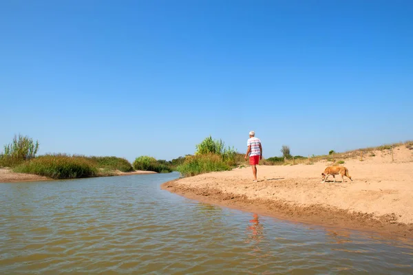 Homem Sênior Andando Com Cachorro Velho Praia Verão — Fotografia de Stock
