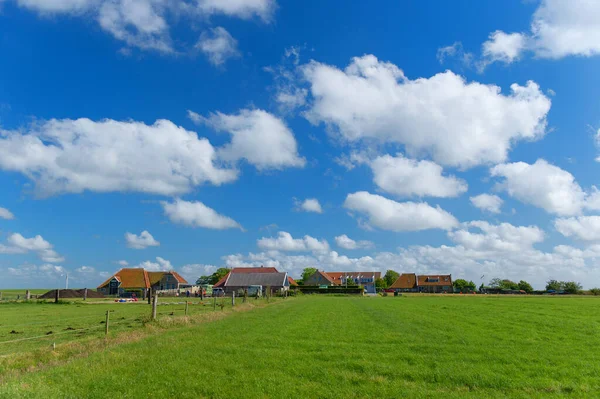 Μικρό Χωριουδάκι Στο Τοπίο Στο Νησί Wadden Terschelling — Φωτογραφία Αρχείου