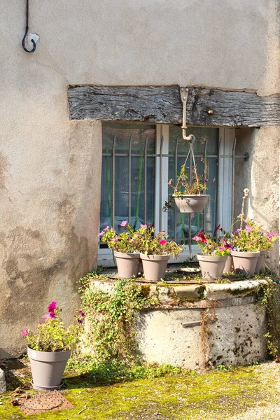 Janela Francesa Com Plantas Flores — Fotografia de Stock