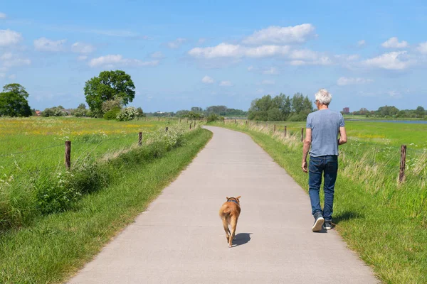 Landscape Dutch River Ijssel — Stock Photo, Image