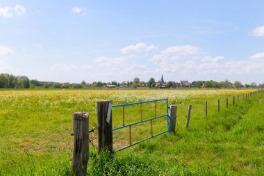 Hollanda şehrinin ufuk çizgisi Gelderland 'deki Hattem manzarası