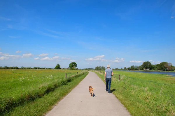 Landscape Dutch River Ijssel — 图库照片