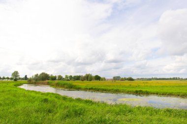 Hollanda nehri IJssel 'i sel baskınına uğrattı 