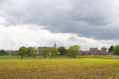 Hollanda şehrinin ufuk çizgisi Gelderland 'deki Hattem manzarası