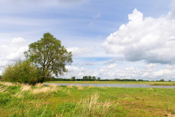 Landscape Dutch River Ijssel — Stockfoto