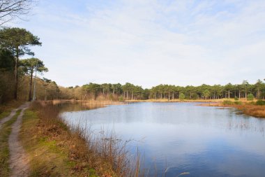 Nature lake landscape at Dutch wadden island Vlieland