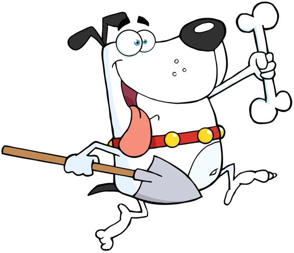 Běží bílý pes s kostí a lopatu — Stock fotografie