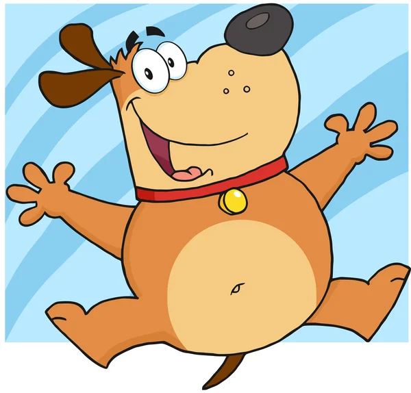 Brown Fat Dog Jumping — Stock Photo, Image