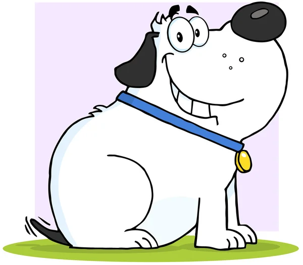 Gray Fat Dog Cartoon Mascot Character — Stock Photo, Image