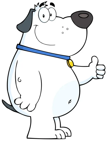 White Fat Dog Showing Thumbs Up — Stock Photo, Image