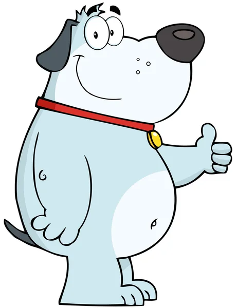 Gray Fat Dog Showing Thumbs Up — Stock Photo, Image