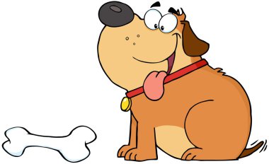 mutlu koca köpek kemik ile