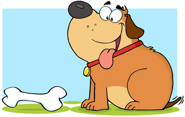 Šťastný brown tuku pes s kostí — Stock fotografie