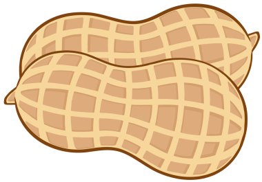 beyaz izole fıstık