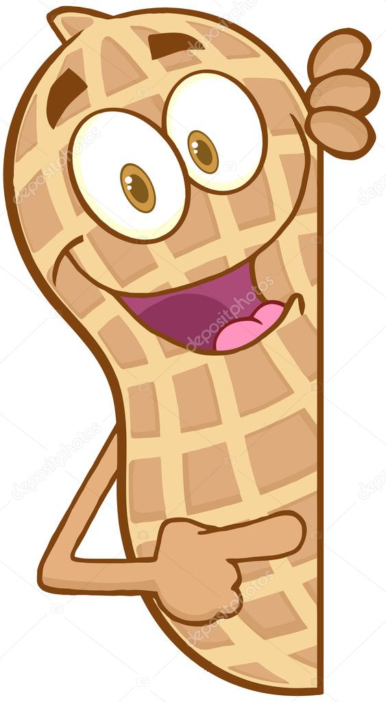 Peanut Cartoon Mascot Character Looking Around A Blank Sign