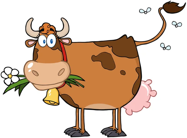 Brown Dairy Cow With Flower In Mouth