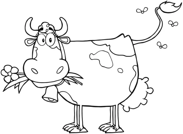 概述在嘴里的花奶牛 — 图库照片