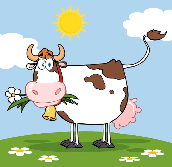 Dairy Cow With Flower In Mouth On A Meadow — Stock Photo, Image