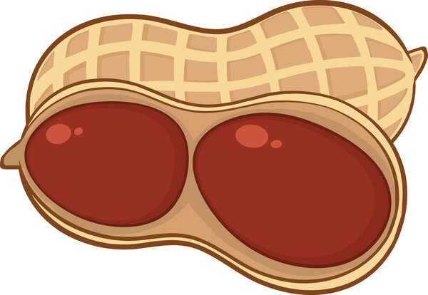 Open Peanut Cartoon Illustration