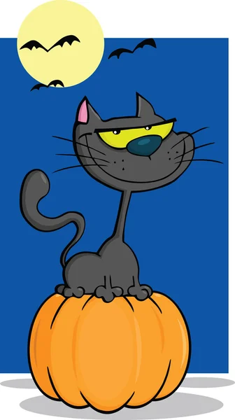 Chat d'Halloween sur citrouille — Photo