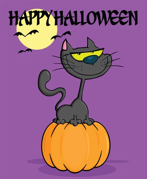 Halloween Cat On Pumpkin In The Night — Stock Photo, Image