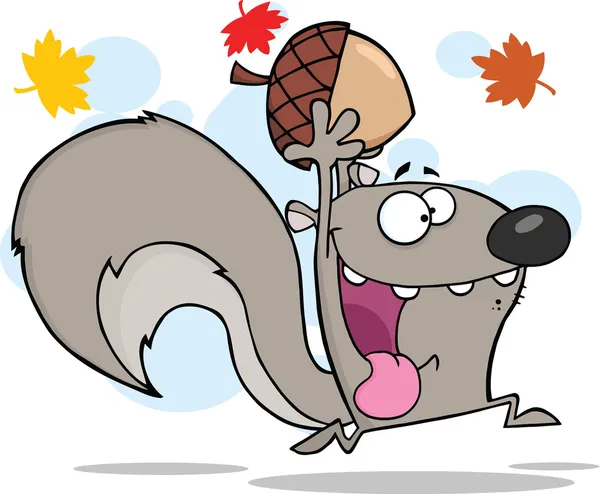 Crazy Gray Squirrel Character Running With Acorn — Stock Photo, Image