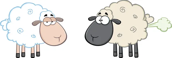 Ovelhas brancas e peidando ovelha cabeça preta — Fotografia de Stock