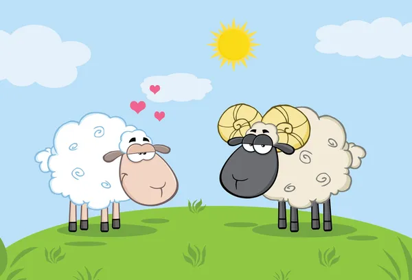 Ovejas blancas enamoradas de ovejas carnero en un prado —  Fotos de Stock