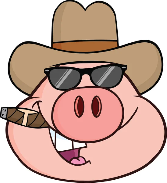 Tête de cochon personnage de bande dessinée avec des lunettes de soleil, chapeau de cowboy et cigare — Photo