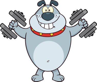 gri bulldog çizgi film maskot karakter eğitimi dumbbells ile gülümseyen