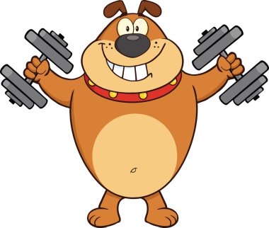 Bulldog çizgi film maskot karakter eğitimi dumbbells ile gülümseyen