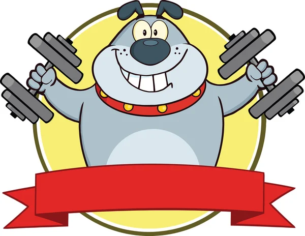 Bulldog cinza com halteres Etiqueta de mascote de desenhos animados — Fotografia de Stock