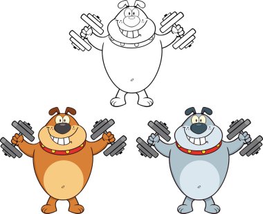 Bulldog dumbell koleksiyonu ile