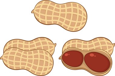 karikatür fıstık set koleksiyonu