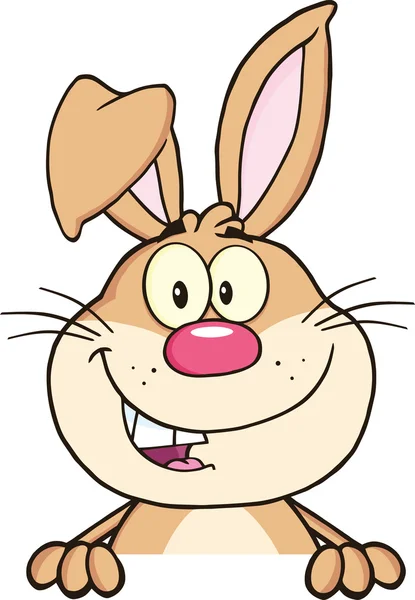 Brown Rabbit Cartoon Mascot Character Over Blank Sign — Stock Photo, Image