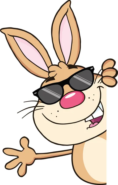Mignon lapin brun avec des lunettes de soleil regardant autour d'un signe vide et agitant — Photo