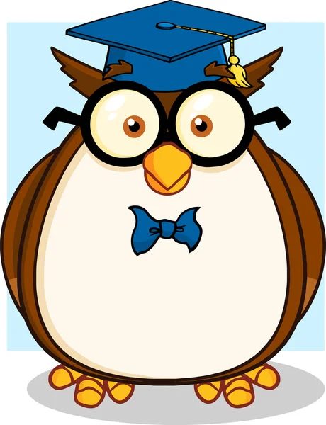 Wise Owl Teacher With Glasses And Graduate Cap — Stock Photo, Image