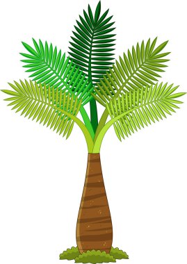 Ağaçlı tropikal bir bitkinin çizimi