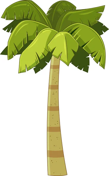 Palmboom Met Palmen Witte Achtergrond — Stockvector