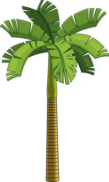 Palmera Tropical Con Hojas Verdes — Vector de stock