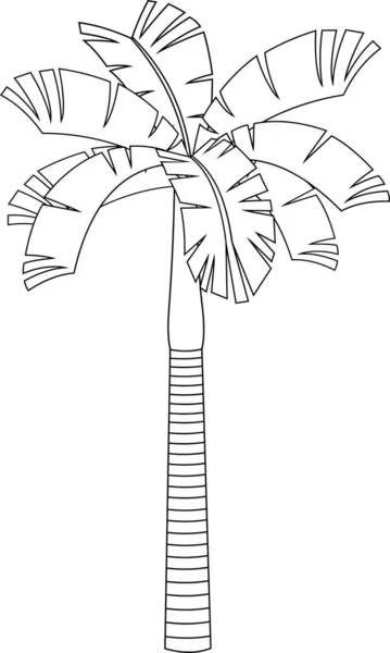 Tropisk Palm Och Hav Bakgrund Vektor Illustration — Stock vektor